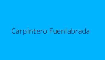 Carpintero Fuenlabrada